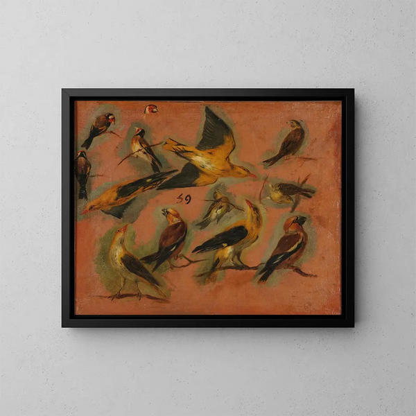 Chardonnerets uccelli - Pieter Boel — quadro incorniciato alla parete