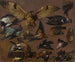 Studien einer Eule und anderer Vögel - Pieter Boel — Ansicht des Kunstwerks