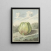 Apfel in einer Landschaft - Pieter Gevers — gerahmtes Bild an der Wand