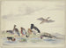 Otto anatre di diverse specie sul bordo dell'acqua - Pieter Holsteijn — vista dell’opera