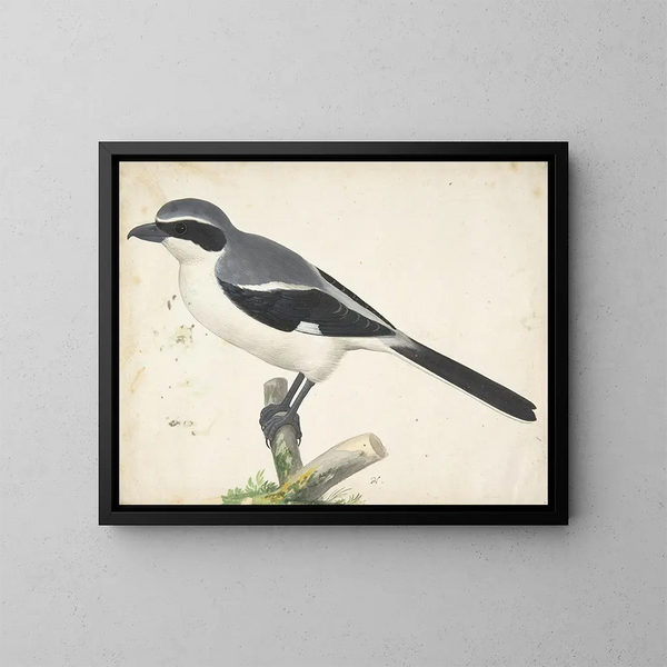 Un grande falco grigio - Pieter Holsteyn II — quadro incorniciato alla parete