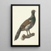 Grand Capercaillie Painting - Pieter Pietersz Barbiers — framed artwork on a wall