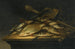 Stillleben mit Fischernetzen, Angelausrüstung und Messer auf einem Tisch - Pieter de Putter — Ansicht des Kunstwerks