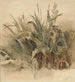 Aquatic Plants - Peter De Wint — artwork view