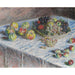 Reproduktion des Gemäldes Äpfel und Trauben - Claude Monet