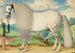 Ein graues, geschecktes Hengst-Pferd in einer Landschaft - Prager Schule — Ansicht des Kunstwerks