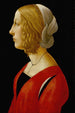 Portrait of a Young Woman - Raffaellino del Garbo — artwork view