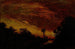 Crepuscolo - Ralph Albert Blakelock — vista dell’opera