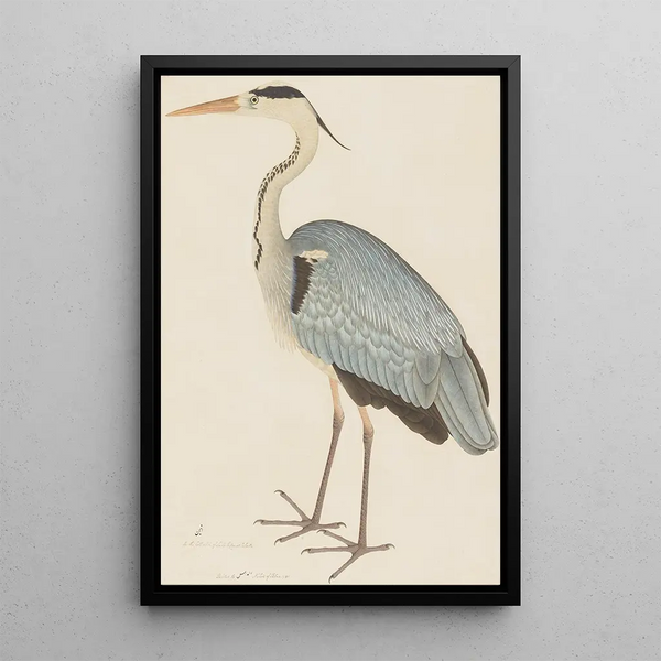 Heron cendré - Ram Das — framed artwork on a wall