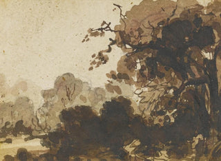 Ramsay Richard Reinagle - Study of a wooded landscape with trees.webp