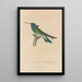 Histoire naturelle des oiseaux-mouches Pl01 - René Primevère Lesson — quadro incorniciato alla parete