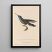 Histoire naturelle des oiseaux-mouches Pl81 - René Primevère Lesson — framed artwork on a wall