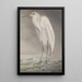 Natural History of Saint-Domingue Pl056 - René de Rabi — framed artwork on a wall