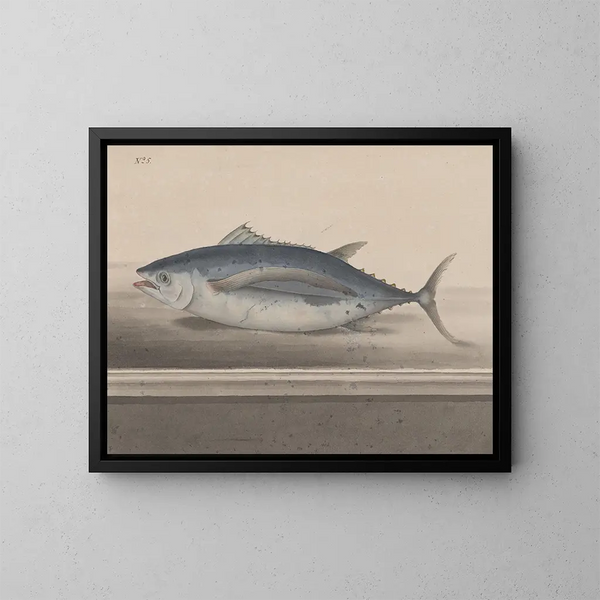 Naturgeschichte von Saint-Domingue Pl065 - René de Rabi — gerahmtes Bild an der Wand