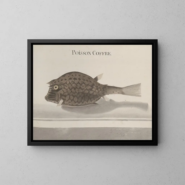 Histoire naturelle de Saint-Domingue Pl100 - René de Rabi — gerahmtes Bild an der Wand