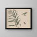 Naturgeschichte von Saint-Domingue Pl164 - René de Rabi — gerahmtes Bild an der Wand