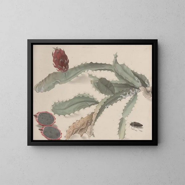 Storia naturale di Saint-Domingue Pl174 - René de Rabi — quadro incorniciato alla parete