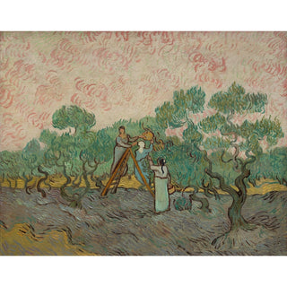 Reproduction Femmes ramassant des olives - Vincent van Gogh