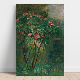 Reproduction Le Rosier Fleuri - Gustave Caillebotte