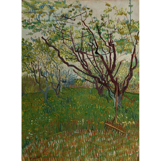 Reproduction Le verger fleuri - Vincent van Gogh