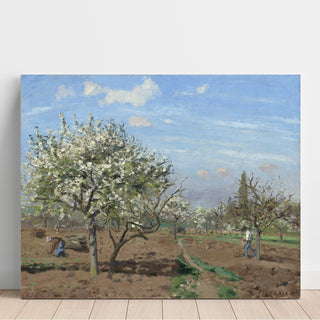 Reproduction Verger en fleurs, Louveciennes - Camille Pissarro