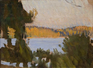 Strand bei Sbyholm - Richard Bergh — Ansicht des Kunstwerks