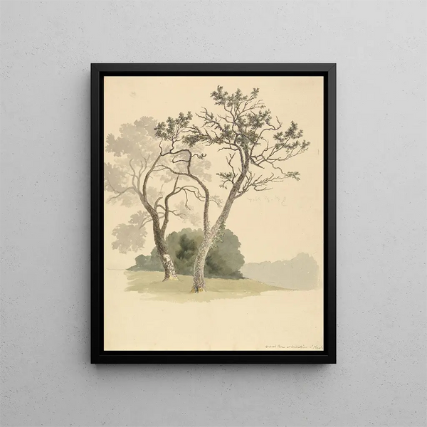 Robert Hills - Orchard Trees at Under River near Knole.webp