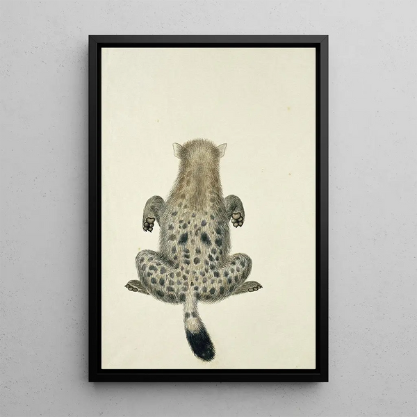Robert Jacob Gordon - Crocuta crocuta Spotted hyena.webp