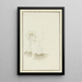 Gethyllis sp, Kukumakranka - Robert Jacob Gordon — gerahmtes Bild an der Wand