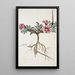 Monsonia multifidum EMey ex Kunth with an insect - Robert Jacob Gordon — framed artwork on a wall