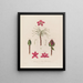 Anatomie des pontischen Rhododendrons - Robert John Thornton — gerahmtes Bild an der Wand