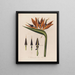 Anatomie della regina dei fiori - Robert John Thornton — quadro incorniciato alla parete