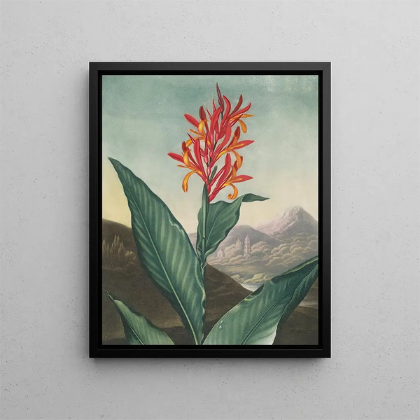 Roseau indien (conflit de cas) - Robert John Thornton — gerahmtes Bild an der Wand