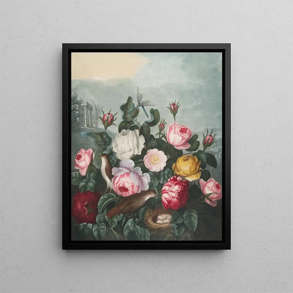 Rosen - Robert John Thornton — gerahmtes Bild an der Wand