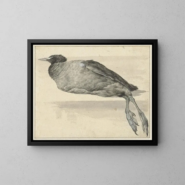 Dode foulque - Rochus van Veen — gerahmtes Bild an der Wand