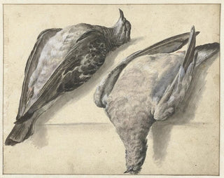 Rochus van Veen - Twee dode duiven.webp