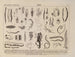 Atlas der Tierwelt Brasiliens Pl03 - Rodolpho von Ihering — Ansicht des Kunstwerks