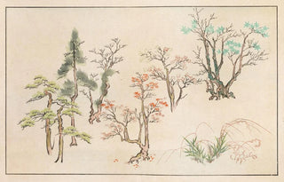Rokkaku Shisui - Shinsen moyo no shiori Pl19.webp