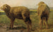 Schafe auf einer Wiese - Rosa Bonheur — Ansicht des Kunstwerks