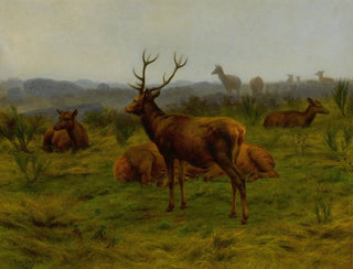 Rosa Bonheur - The Monarch of the Herd.webp