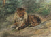 Der alte Monarch - Rosa Bonheur — Ansicht des Kunstwerks
