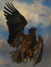 L'aigle blessé - Rosa Bonheur — Ansicht des Kunstwerks