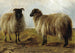 Due arieti in un paesaggio - Rosa Bonheur — vista dell’opera