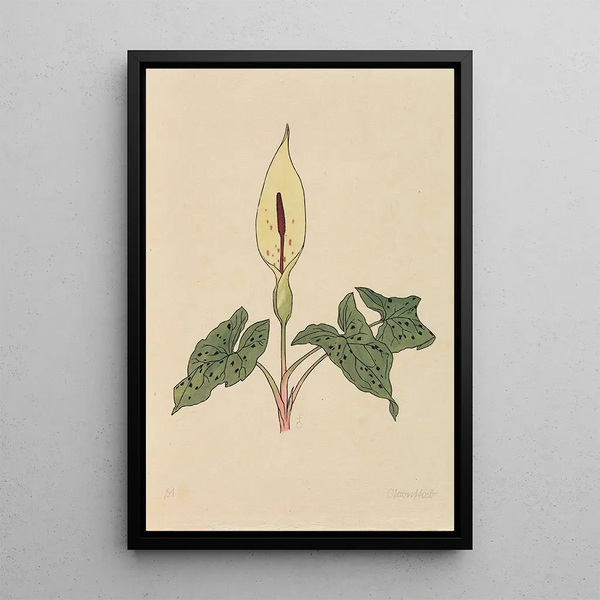 Flower Book Painting - Rudolf Koch — framed artwork on a wall