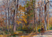 Holz des Herbstes - Rudolf Schramm-Zittau — Ansicht des Kunstwerks
