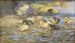 Enten - Rudolf Schramm-Zittau — Ansicht des Kunstwerks