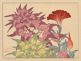 Sakai Hoitsu - Cockscomb.webp