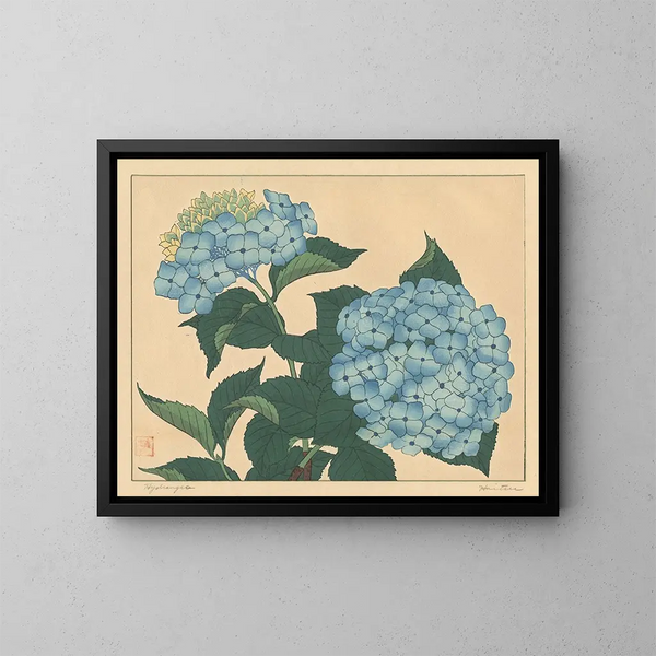 Hortensia - Sakai Hōitsu — gerahmtes Bild an der Wand