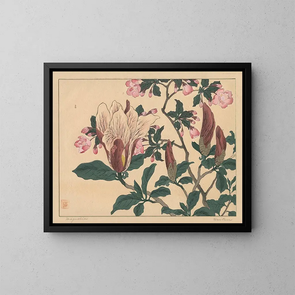 Magnolie - Sakai Hōitsu — gerahmtes Bild an der Wand