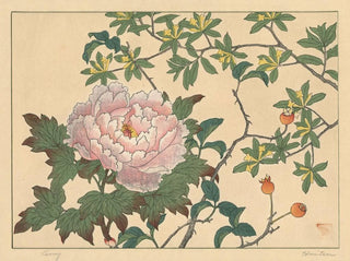 Sakai Hoitsu - Peony.webp